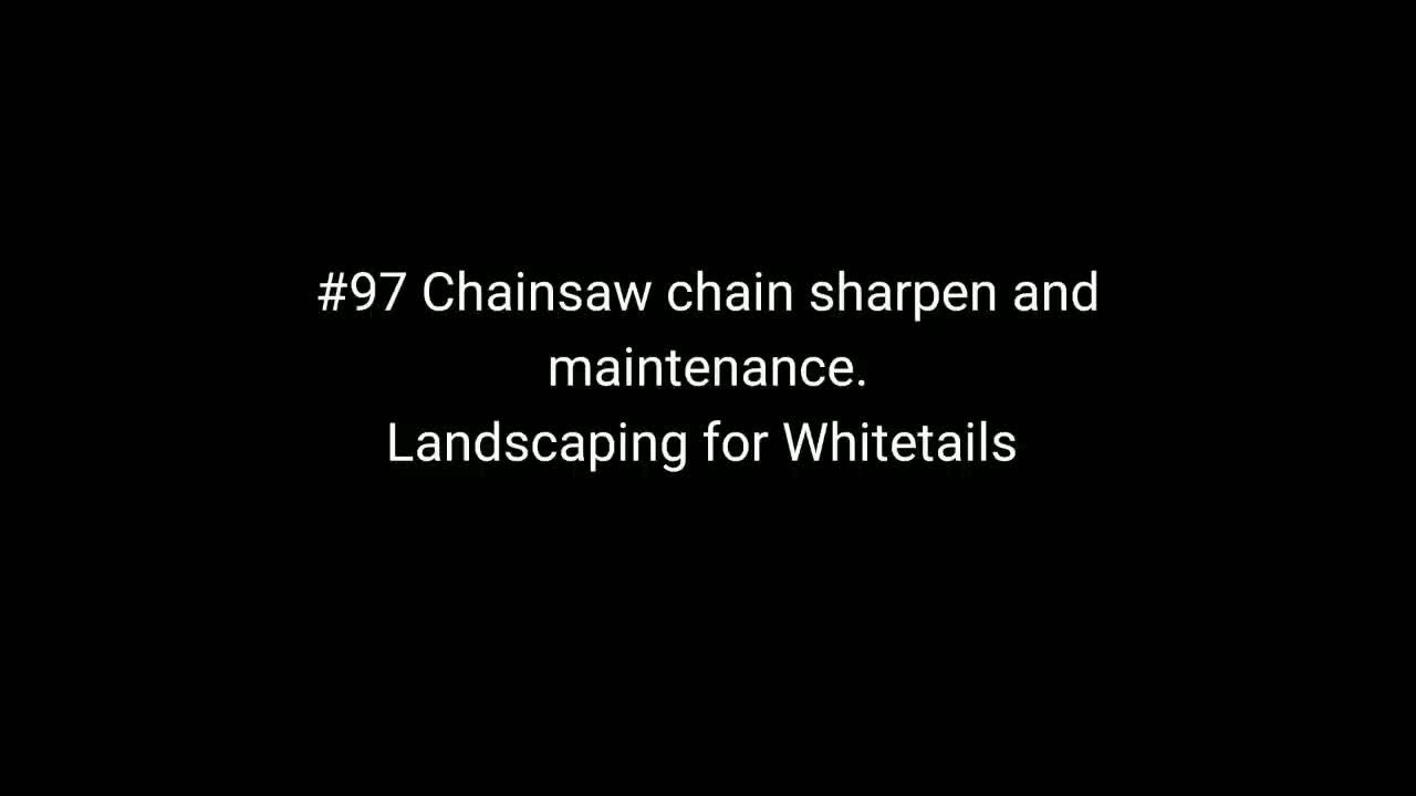 #97 Chainsaw sharpen. Keep sharp.