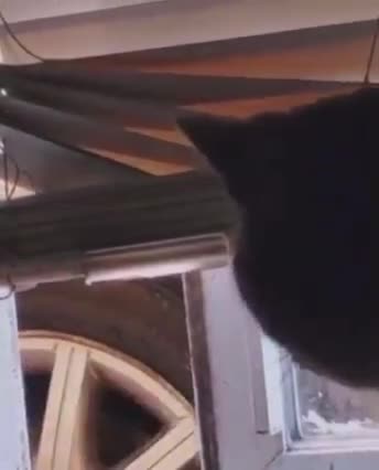 Wuzz Up Bro, You Says You Wuzz Gonna Beat My Ass!