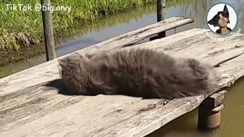 Хулиганы, приключенцы и попаданцы