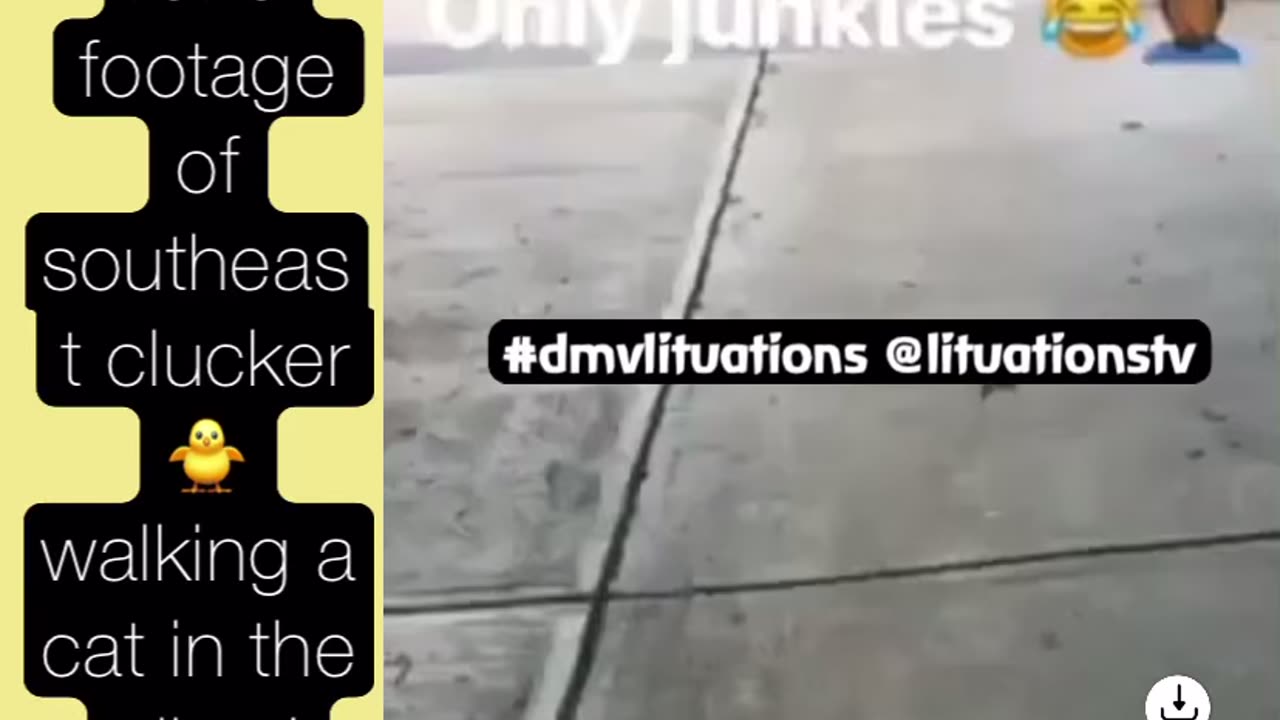 Southeast dc junkies is just built different
