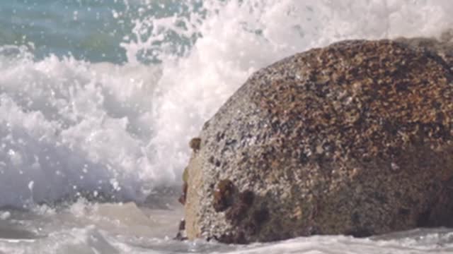 waves-crashing-on-boulder