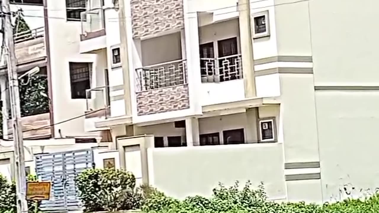 Viral video