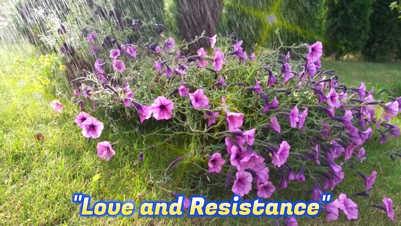 Love and Resistance