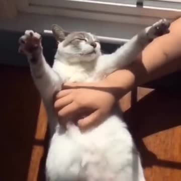 Who needs this massage on Friends after lunch?so relaxing