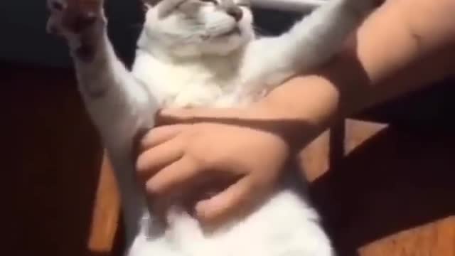 Who needs this massage on Friends after lunch?so relaxing