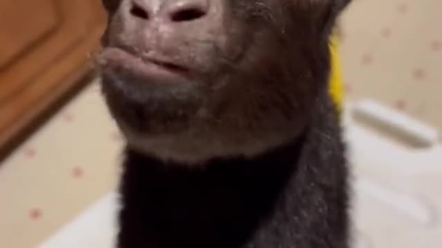 😗