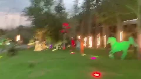 colorful pony