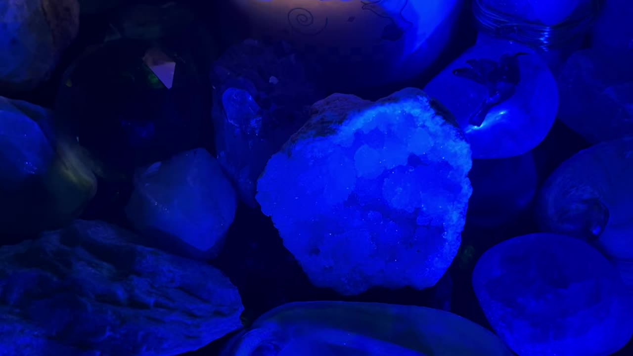 The Crab is not abused. NJ DRONES PSYCHIC STUDY