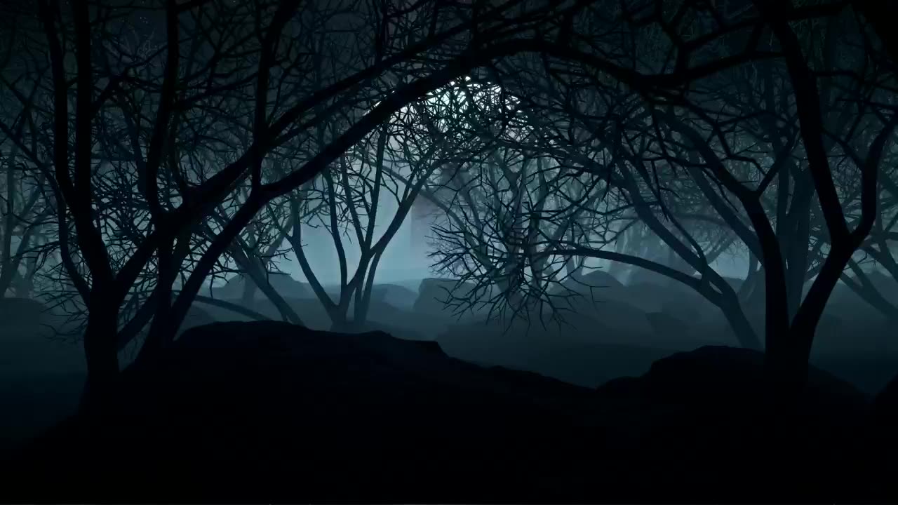 Dark forest on a night with a full moon for Halloween