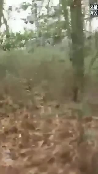 If this doesn't touch your heart, I don't know what will. 4 year old found after being lost in the