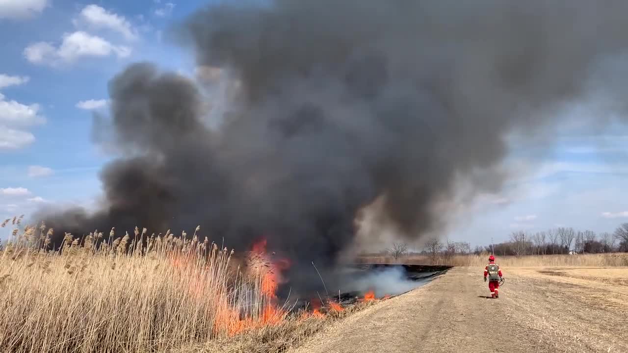 Prescribed Burn