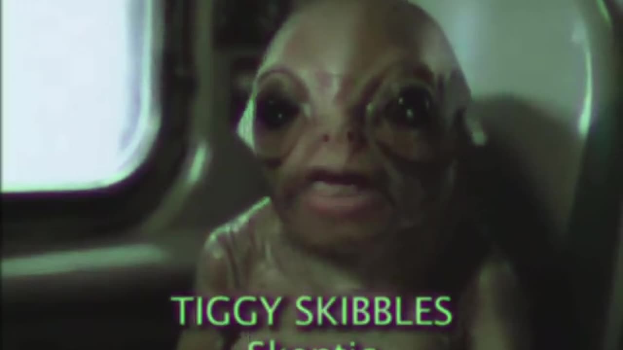 Tiggy Skibbles - It's All a Conspiracy