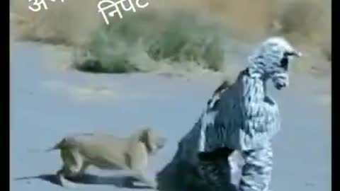 OMG 😱 | Funny video | Comedy video | viral video #shorts