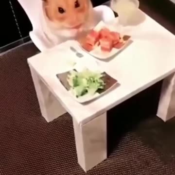 Valentines dinner date 🤣😊👍