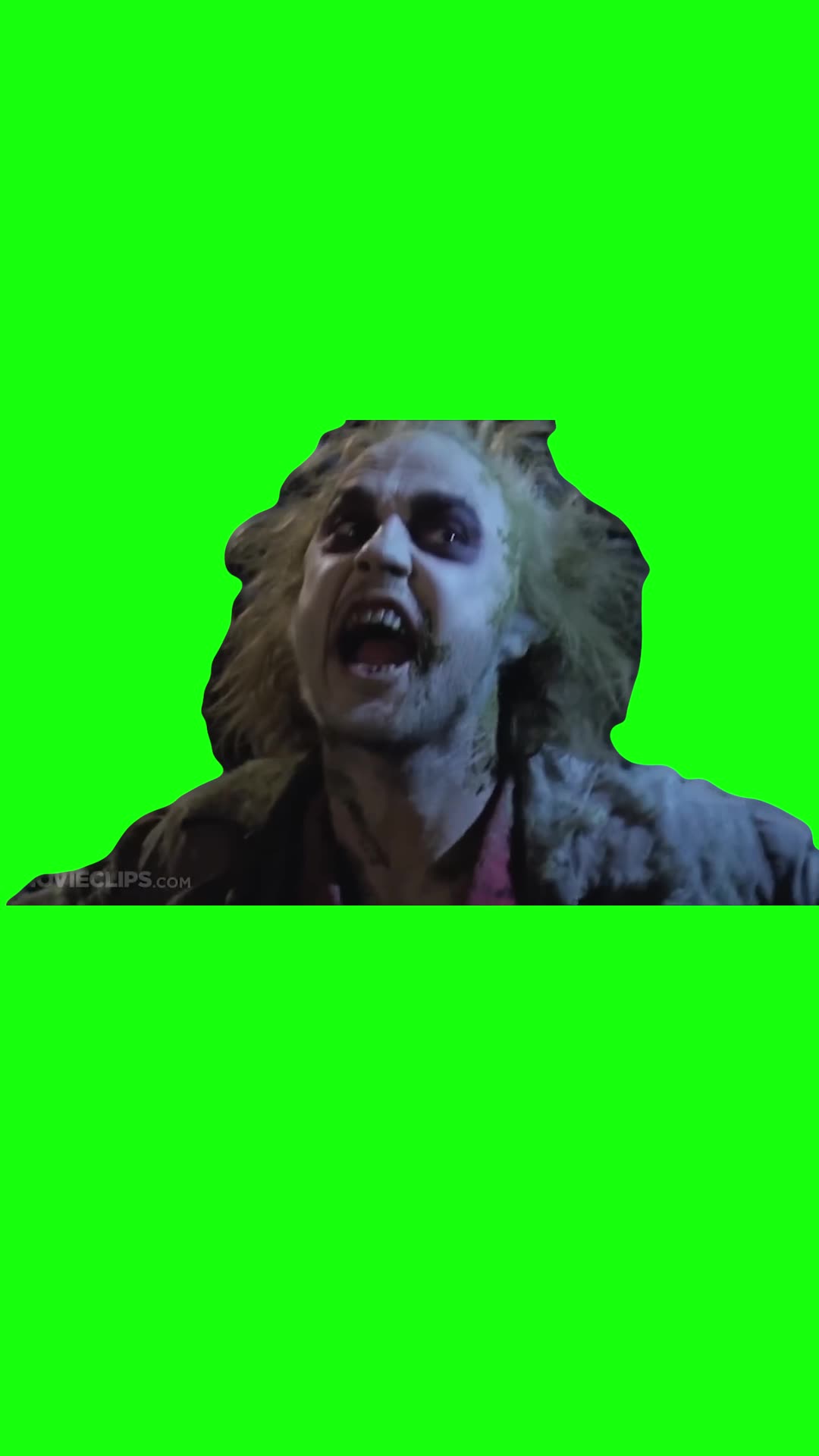 Beetlejuice Qualifications Green Screen