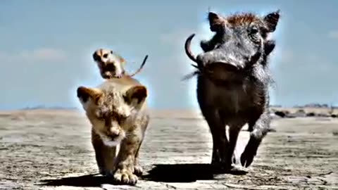 The lion king timon & pumba