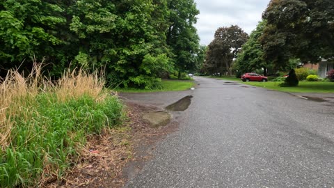 🌴 Learning About Westcliffe Park & Trail #1 In Ottawa 🍁 Canada ☀️