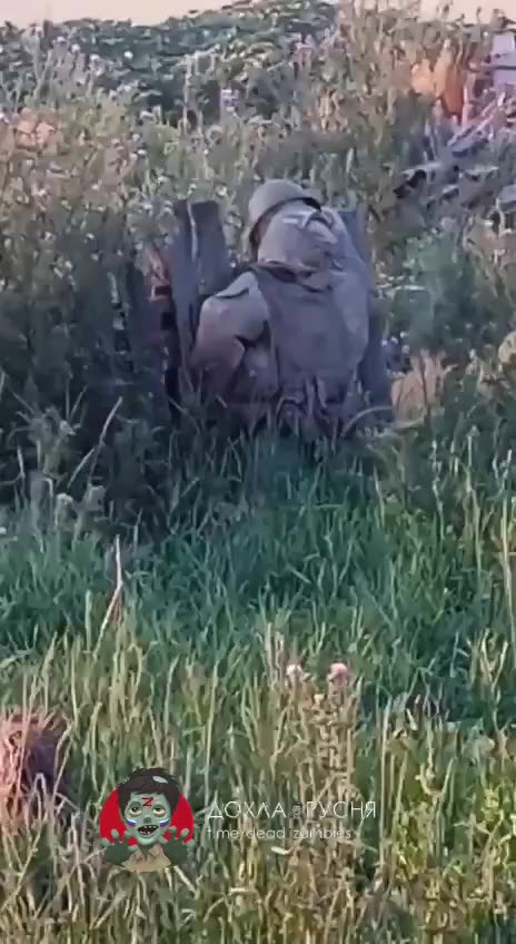 Ukrainians Find a Russian Soldier Tied to a Fence