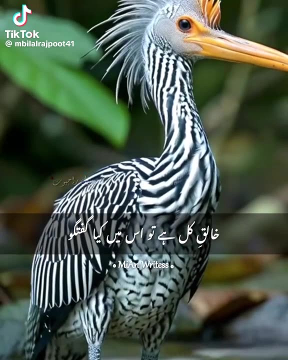 Beautiful Qudraat 2024