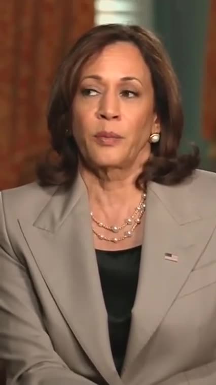 WHO SAID IT BEST ☛ VEEP OR KNEEPADS HARRIS❓[BATHHOUSE BARRY DECLINES TO ENDORSE]