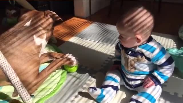 Cute babies, cute ones.