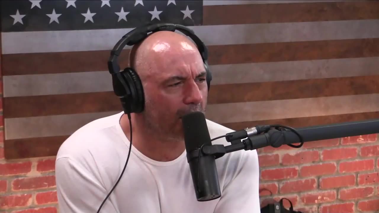 Joe Rogan on the Whale Returning a Woman's Phone