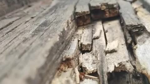 time to fix