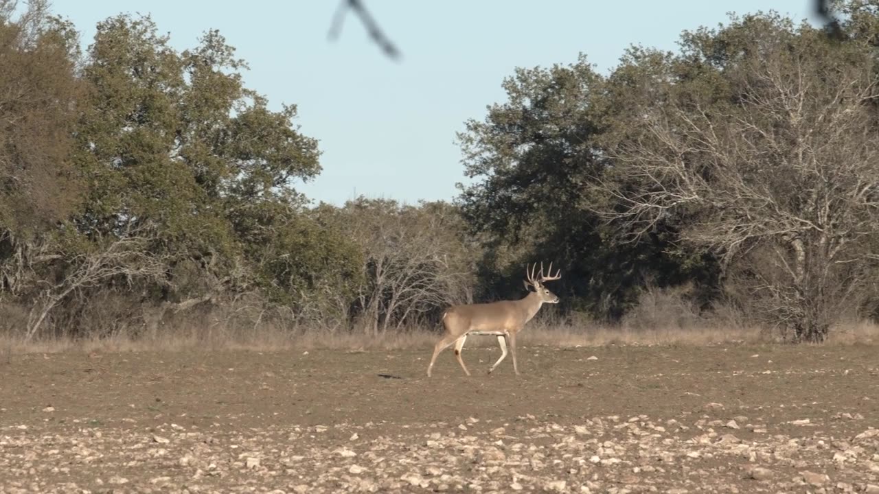 Headwaters for Heroes Outdoors, Season 2 Episode 3 at Recordbuck Ranch, Utopia, Texas