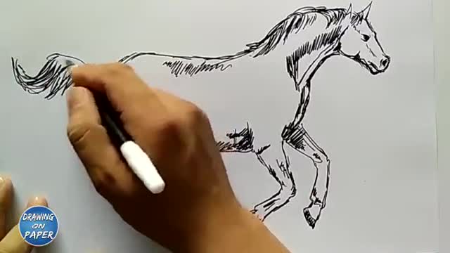 Horse drawing