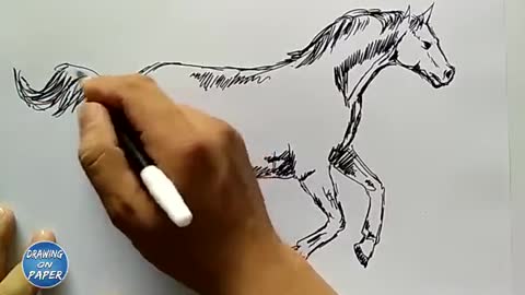 Horse drawing