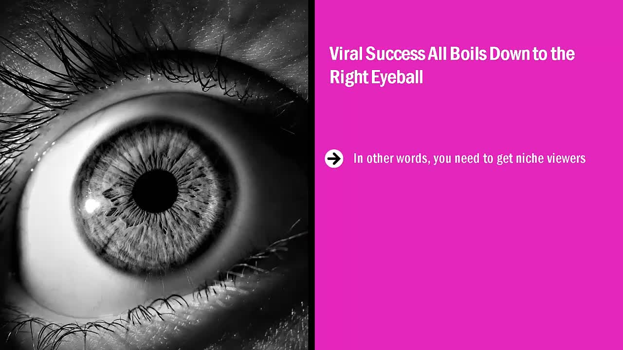 Viral Marketing Secrets - 3