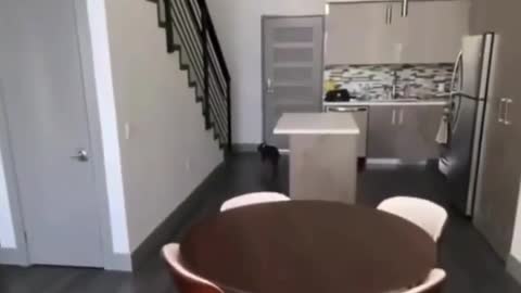 Cute puppies