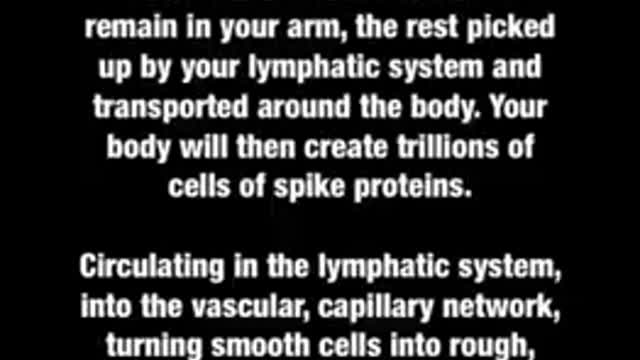 Scientific Reasons Why and How mRNA Vaccines Harm Human Bodies