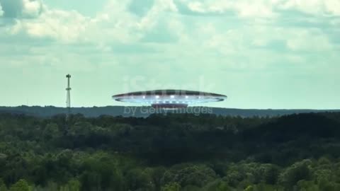 UFO OVER FOREST
