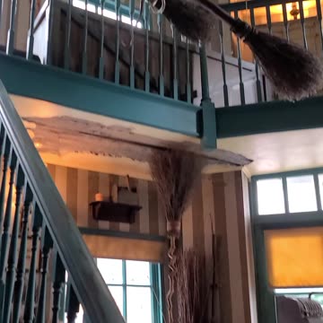 Is This Quality Quidditch Supplies? #wizardingworldofharrypotter #harrypotter #universalstudios