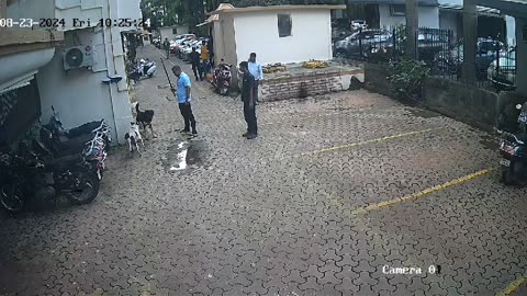 A man beating a stray dog in Goregaon