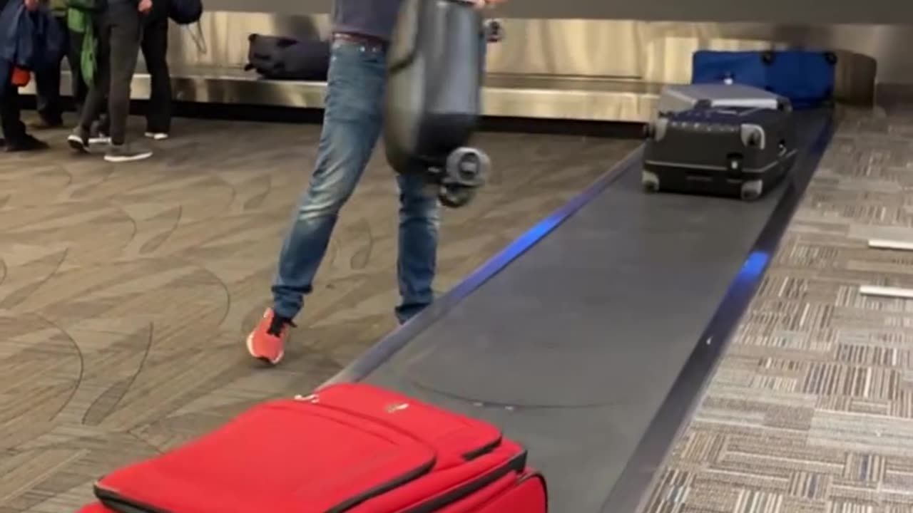 My BF bought a suitcase that turns into a scooter..