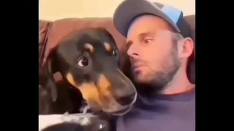 Best Of The 2022 Funny Animal Videos