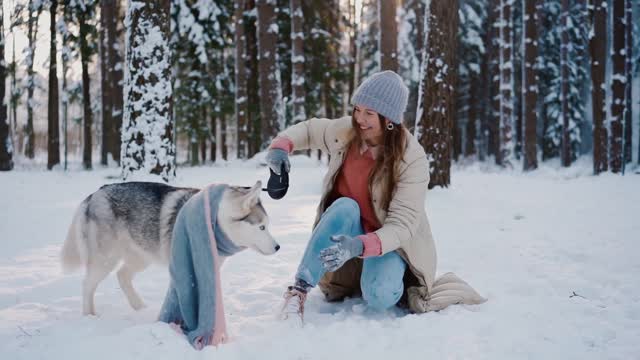 Un joli loup