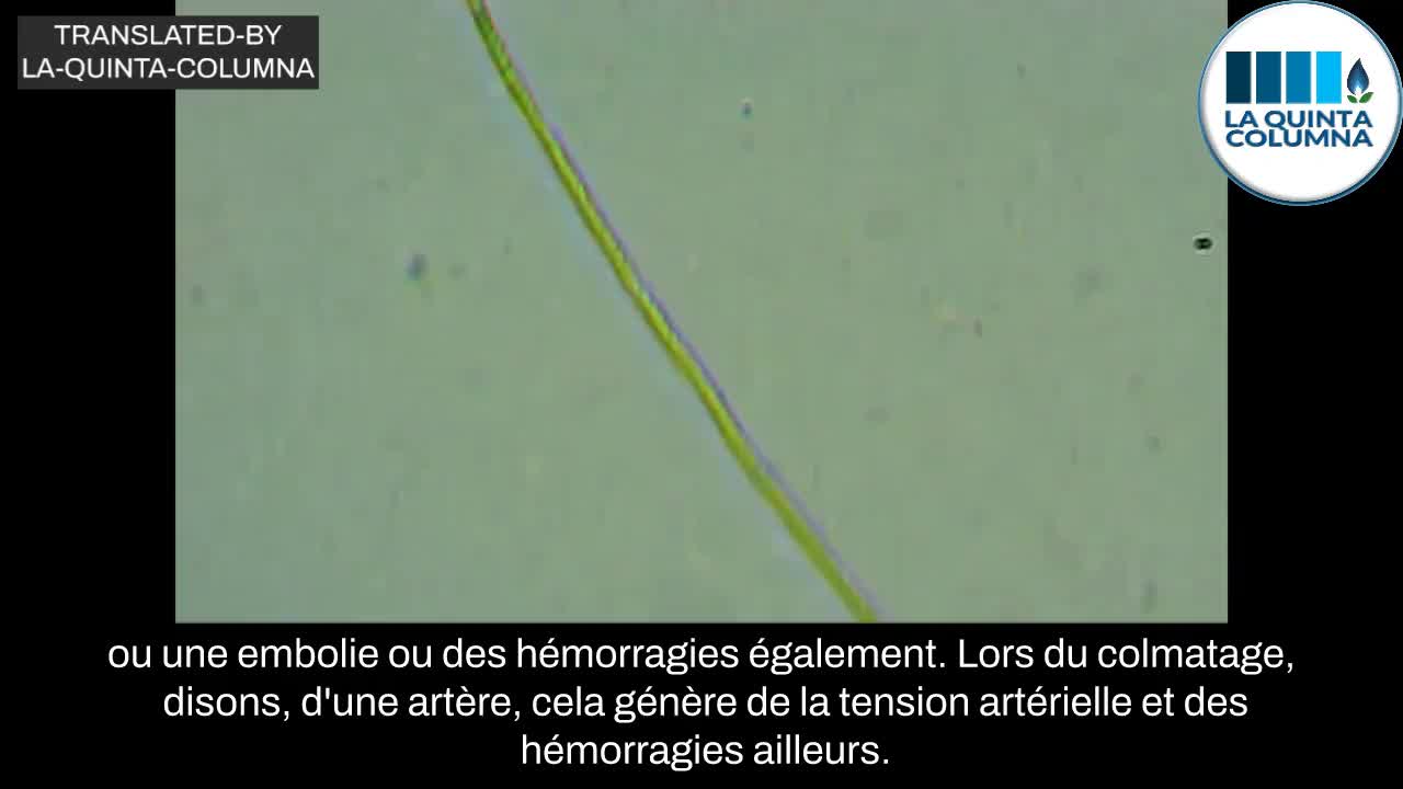 Présence de nanotubes de carbone à base de graphène dans le "vaccin" Pfizer