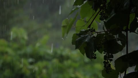 Relaxing music with Rain Sounds