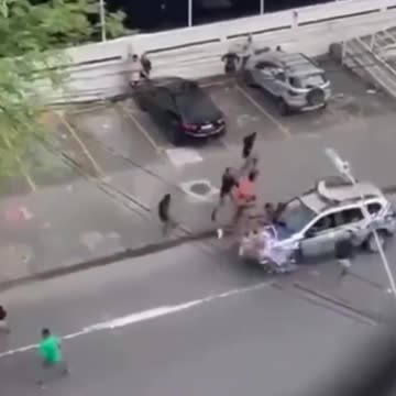 How to break up a fight!