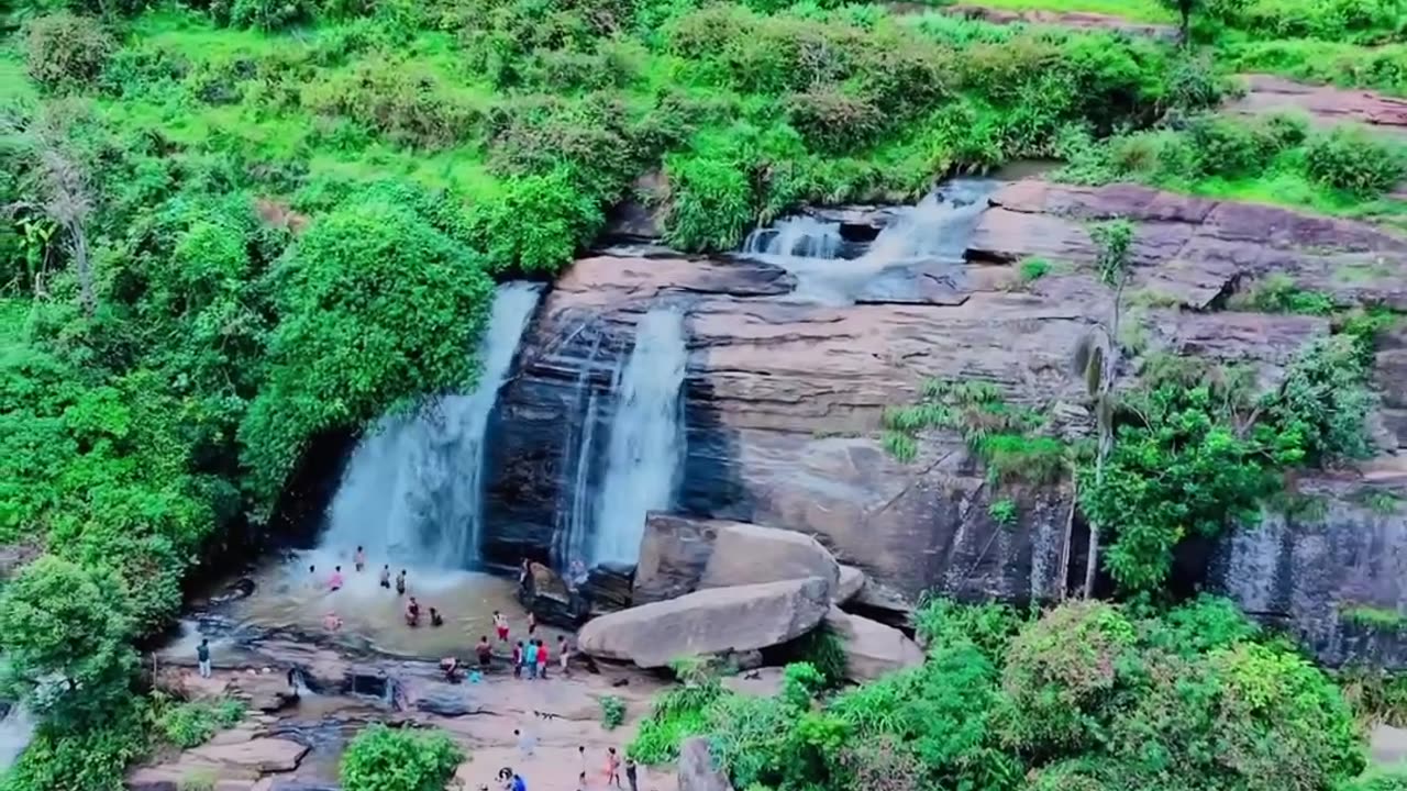 Nature's Serenity: Forests and Wildlife Wonders