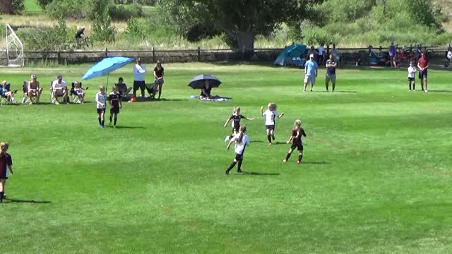 8/6/2022 Ellise Goal 1