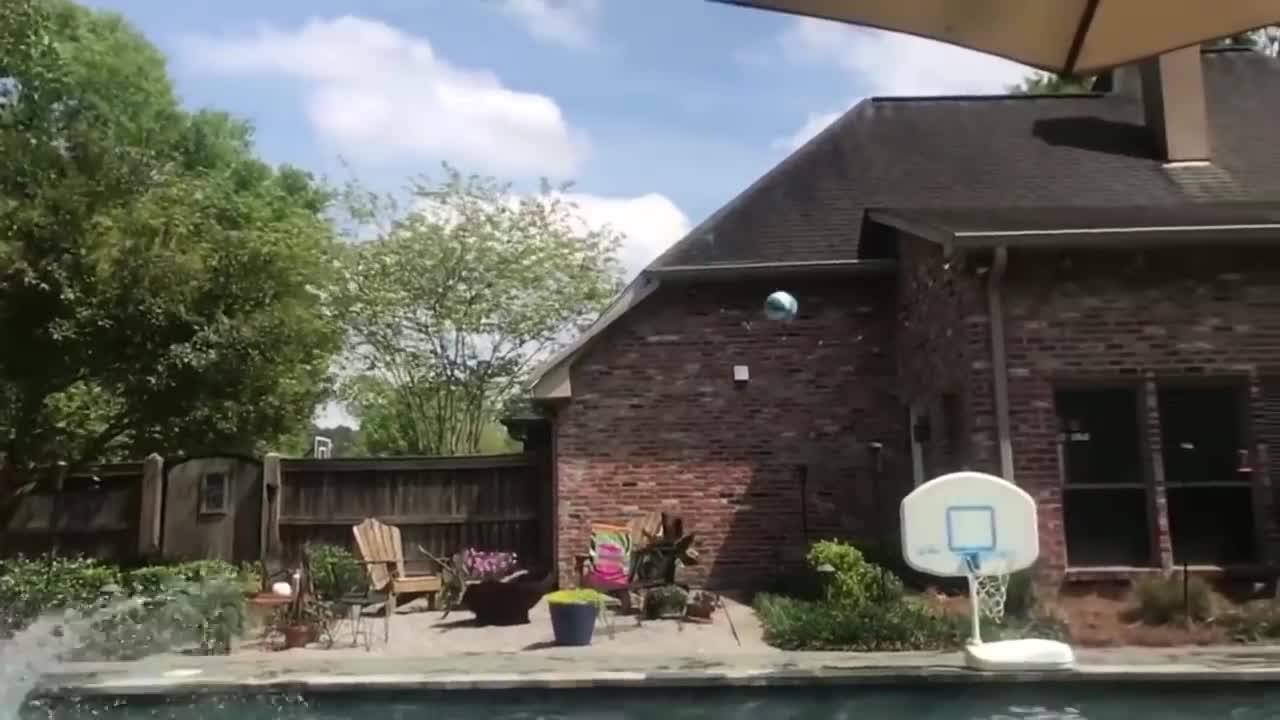 FUNNY VIDEOS -- Babies Playing Water In The Pool ¦ PatPat
