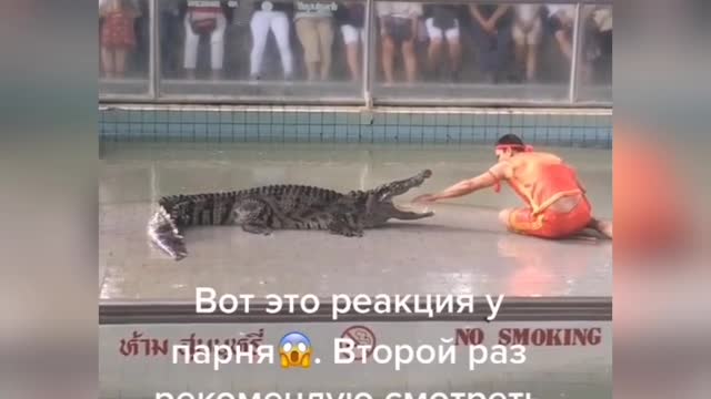 Crocodile teaching