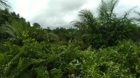 Selalu Berjuang