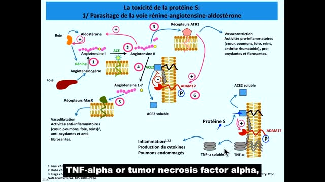 ICS 2022 (France) J-P BOURDINEAUD "From HCQ to spike: controversies on drug toxicity".