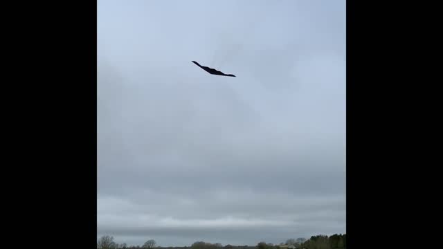 2 B2 Stealth Bombers departing Fairford March 2020