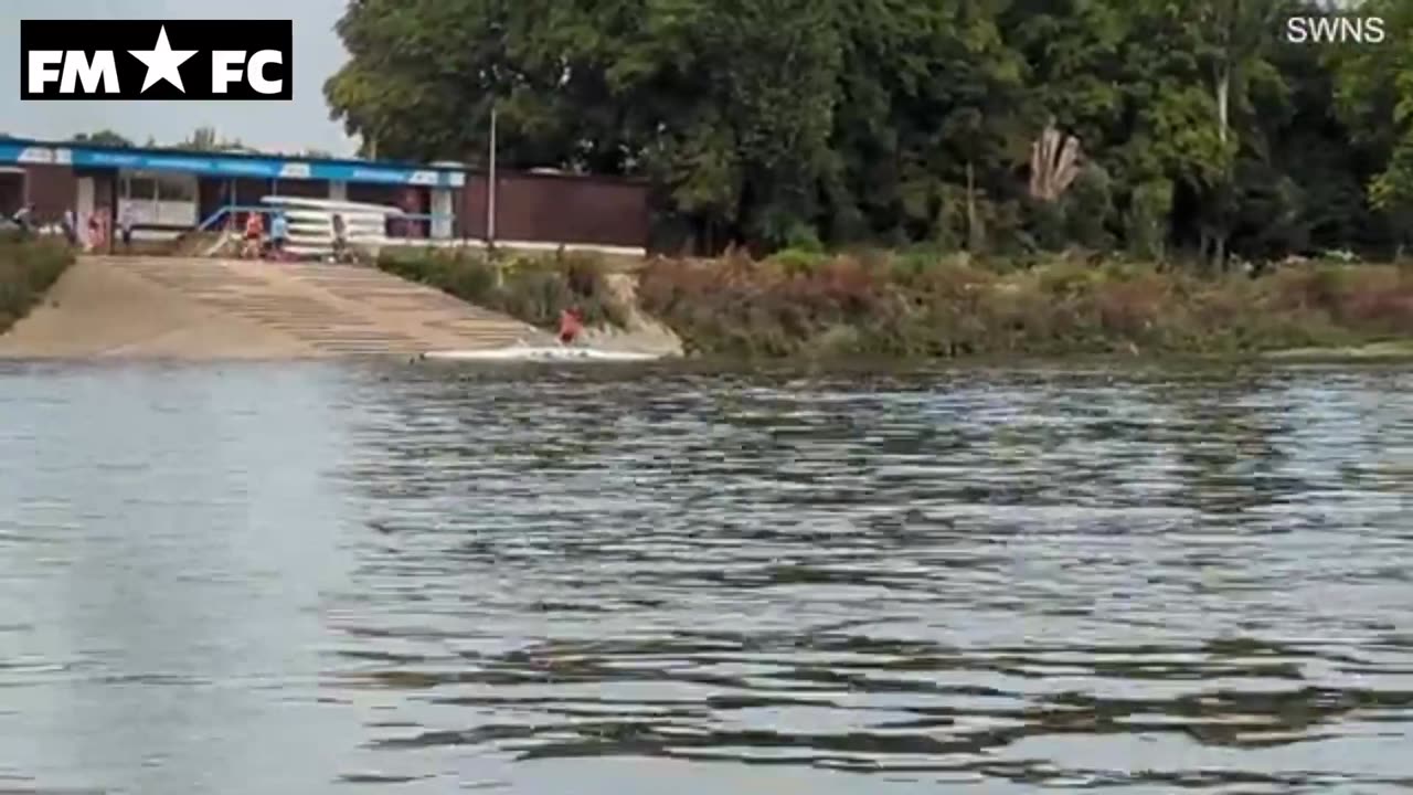 Amazing footage shows dolphin spotted swimming in river Thames